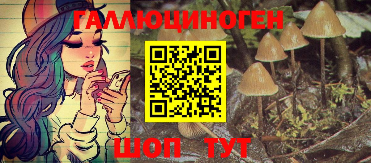 Псилоцибиновые грибы Psilocybe Тамбов