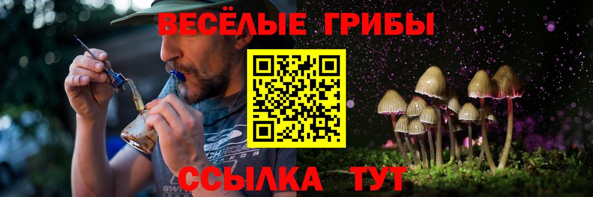 Галлюциногенные грибы мухоморы  Псилоцибиновые грибы Psilocybe  Вход с VPN  Тамбов 